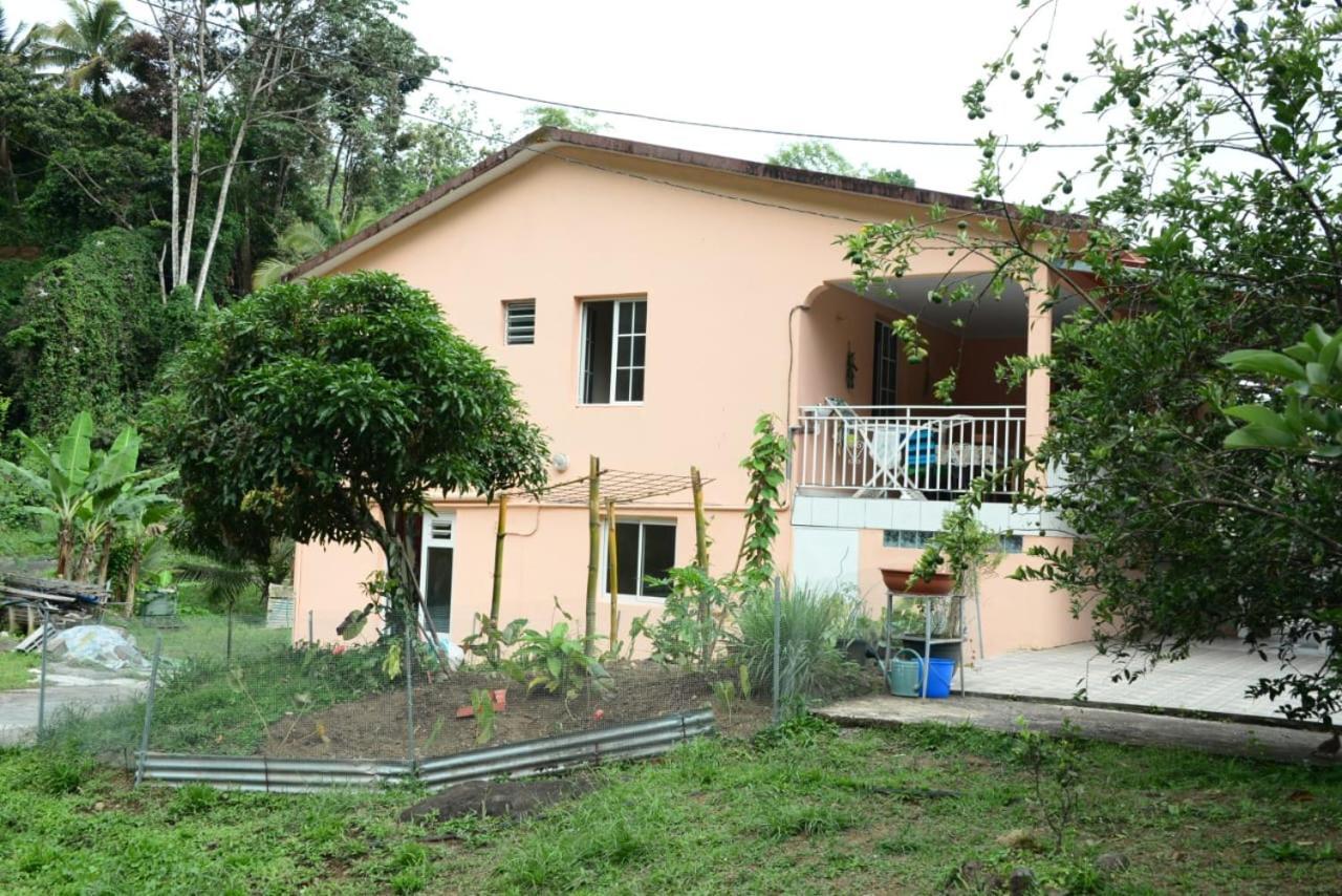 Maison Lavanne Saint-Joseph Exterior photo